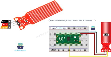raspberry pi water sensor|Raspberry Pi Pico .